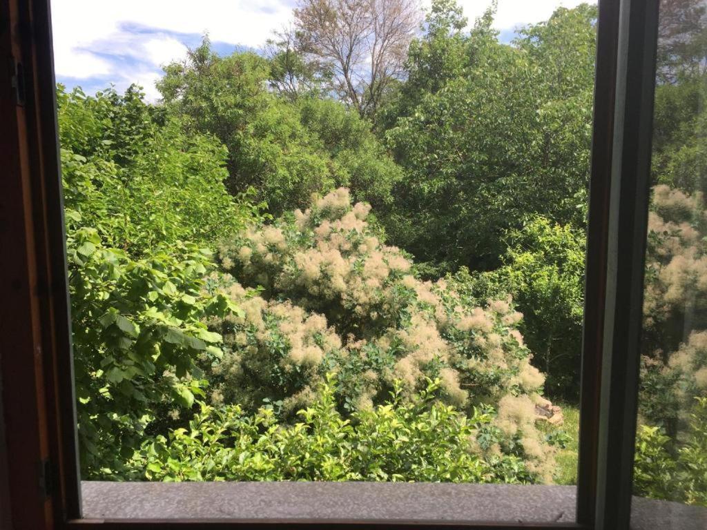 Budapest Garden Hostel Luaran gambar